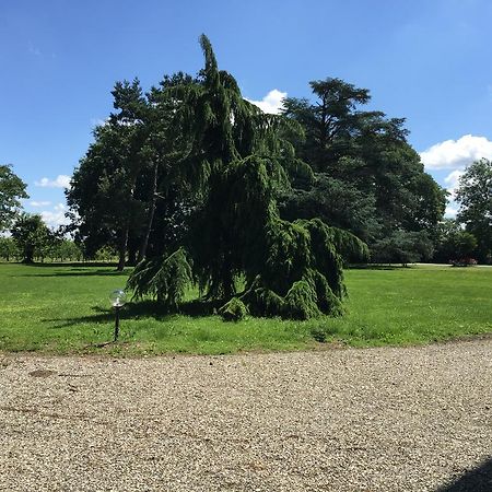 B&B Villa Partitore Quartazzola Kültér fotó